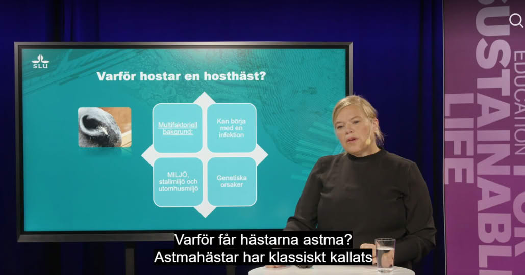 Varför hostar hästen, är det astma?