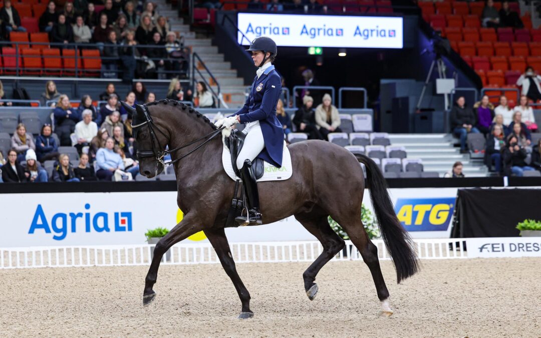 Dags för EM i dressyr