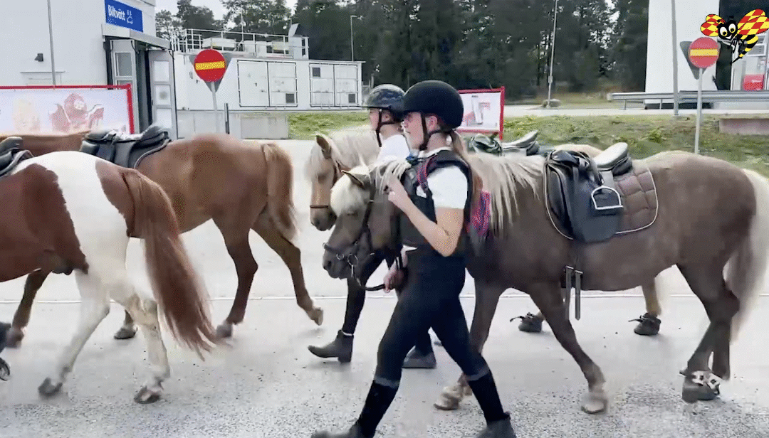 Gjorde en ”ride-thru” på ridturen