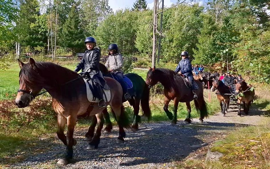 101 år av nordsvenskar i Bohuslän