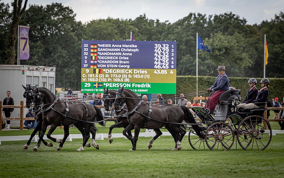 Svenskarna klarade maratonkörningen i EM