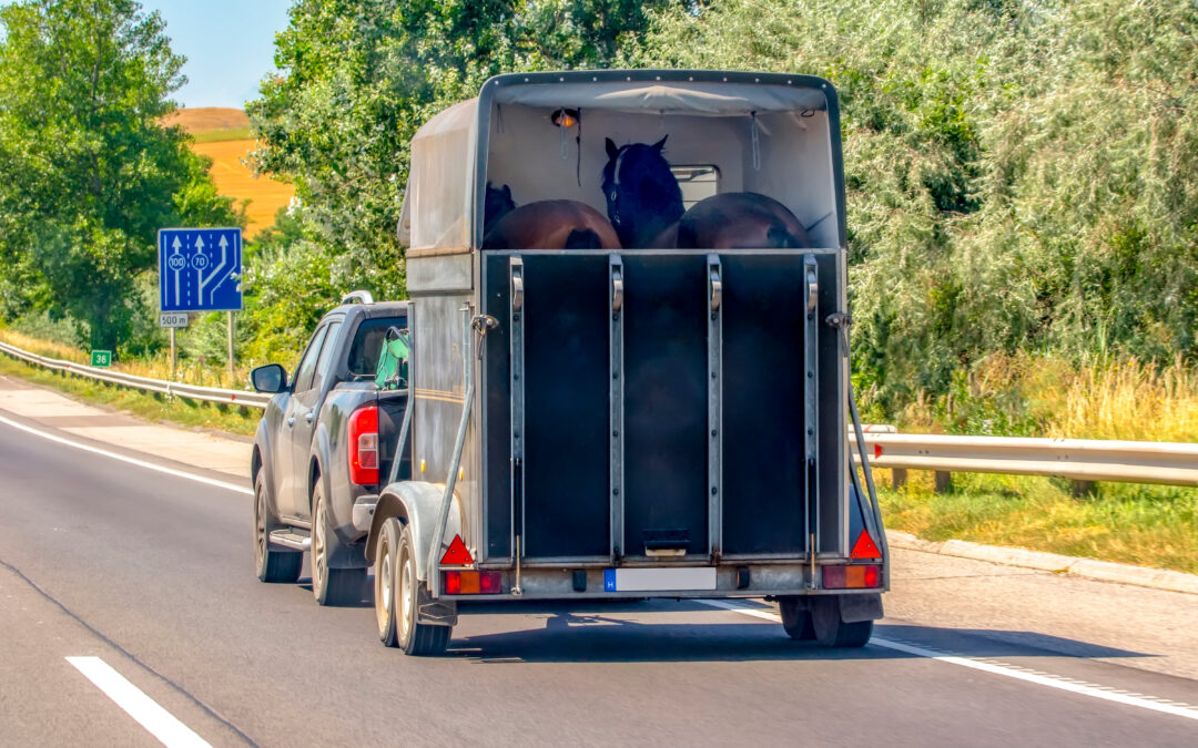 Åka transport, hur jobbigt är det?