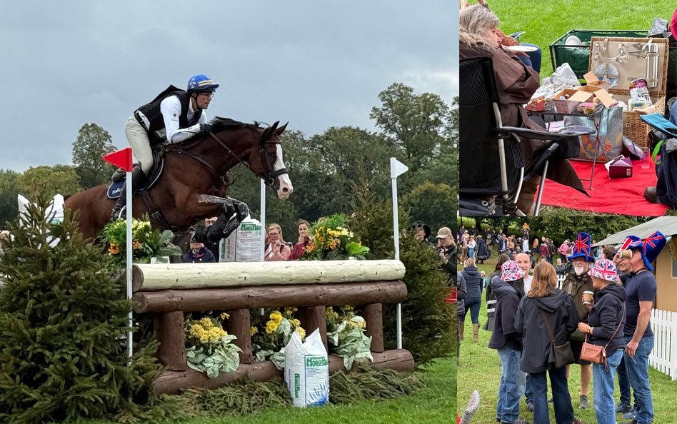 Terrängprovet – en folkfest