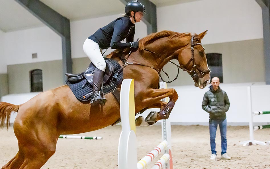 Lärorik kväll med Unghästverkstaden