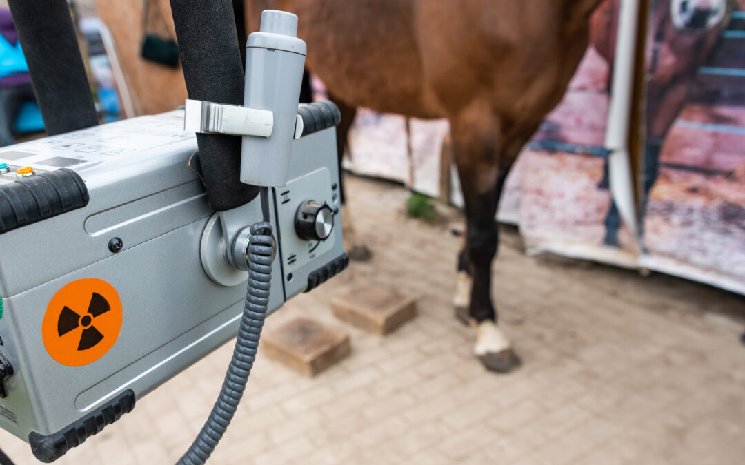 Tre veterinärer får erinran