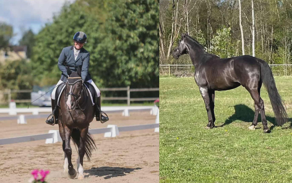 Så håller Christina sina hästar fräscha långt upp i åldrarna