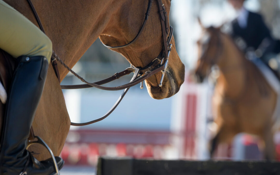 Protesterar mot att ryska och belarusiska ryttare får tävla