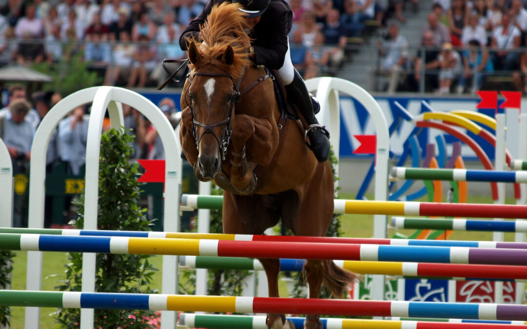 Sverige röstade nej till FEI:s nya blodsregel