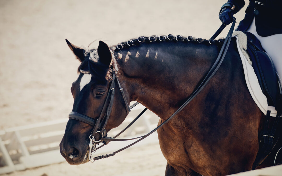 Blodsregeln, kandar och mobilförbud