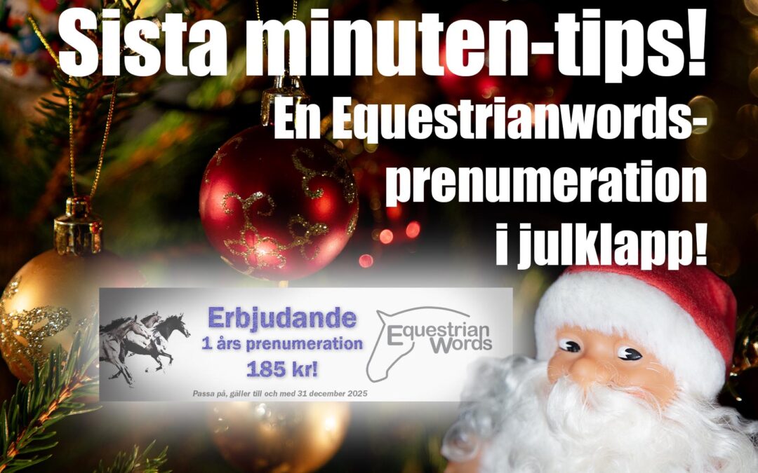 God jul önskar vi på Equestrianwords