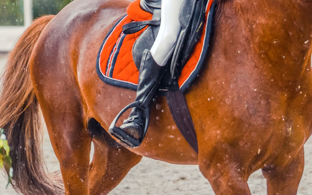 SvRF förtydligar beslutet