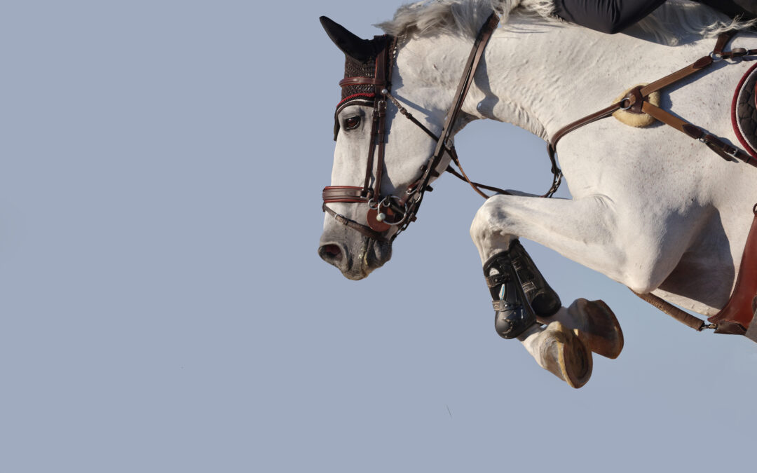 Ryttare stängs av i fyra månader