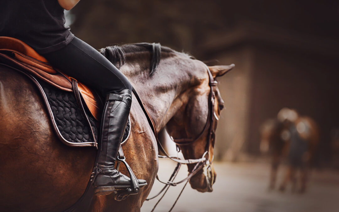 Ljuger styrelseordförande i nationell tv