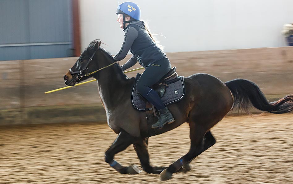 Mounted games-laget laddar inför Scandinavium