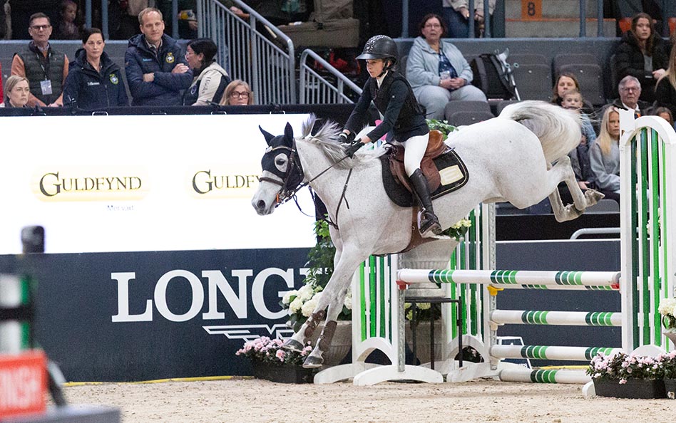 Pallplatser i Sverigeponnyns semifinal