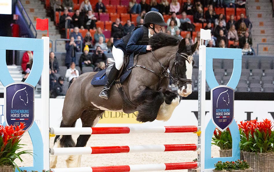 Bilder, bilder, Sverigeponnyn