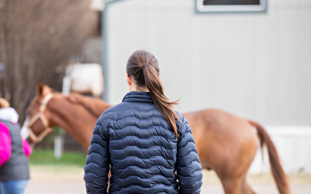 Forskar för bättre hältdiagnoser