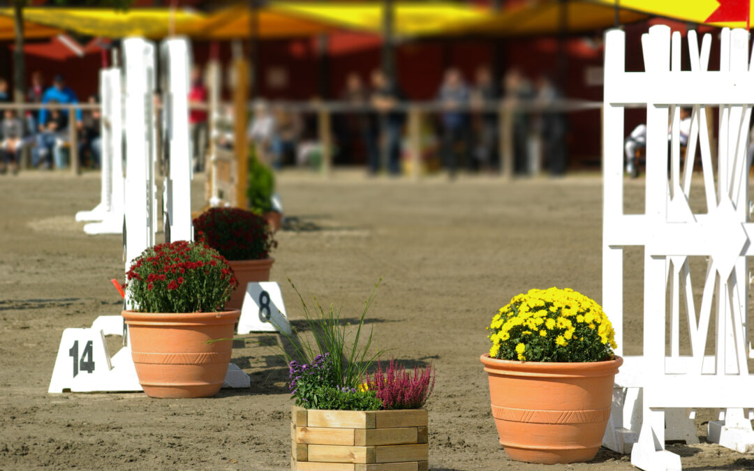 Avelsförening kritiska till flytt av ungponnyfinaler