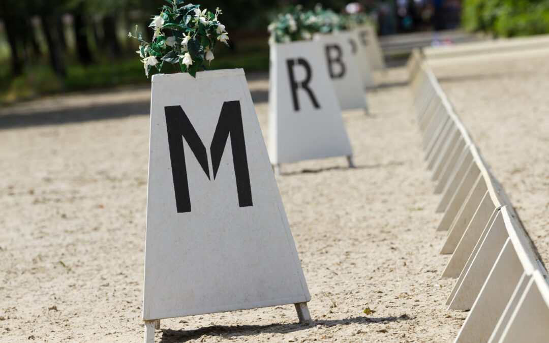 Hästar som tävlade i Ängelholm anmälda till Flyinge