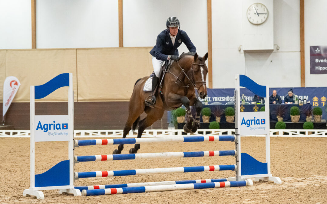 Fyra vinnare vid årets bruksprov