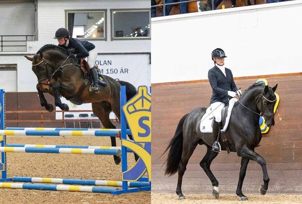 Årets bruksprovssegrare