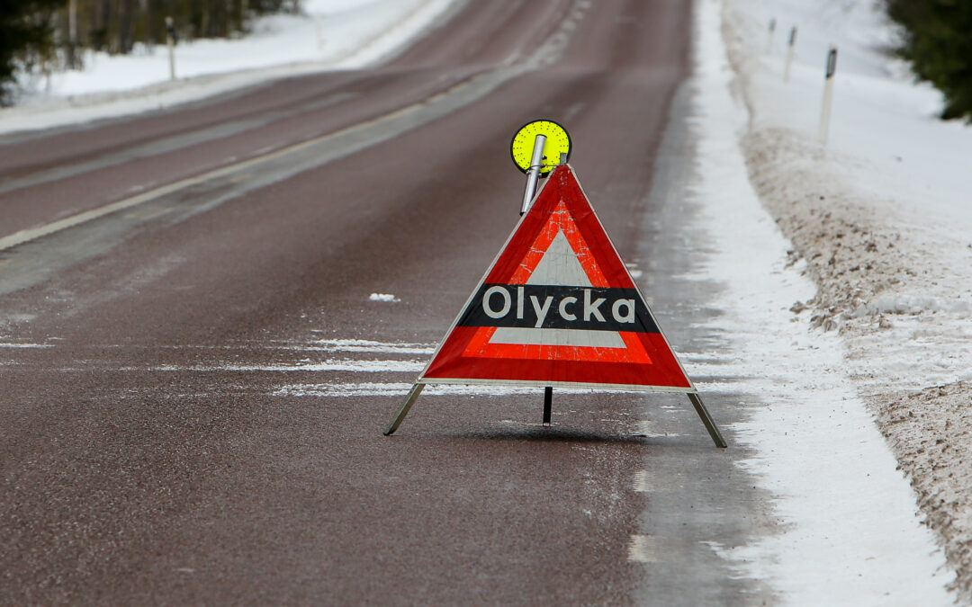 Häst död i trafikolycka