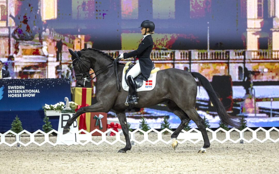 Ingen internationell dressyr under SIHS