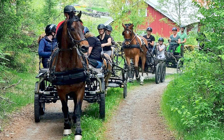 Solsken och grönska på vårutflykten