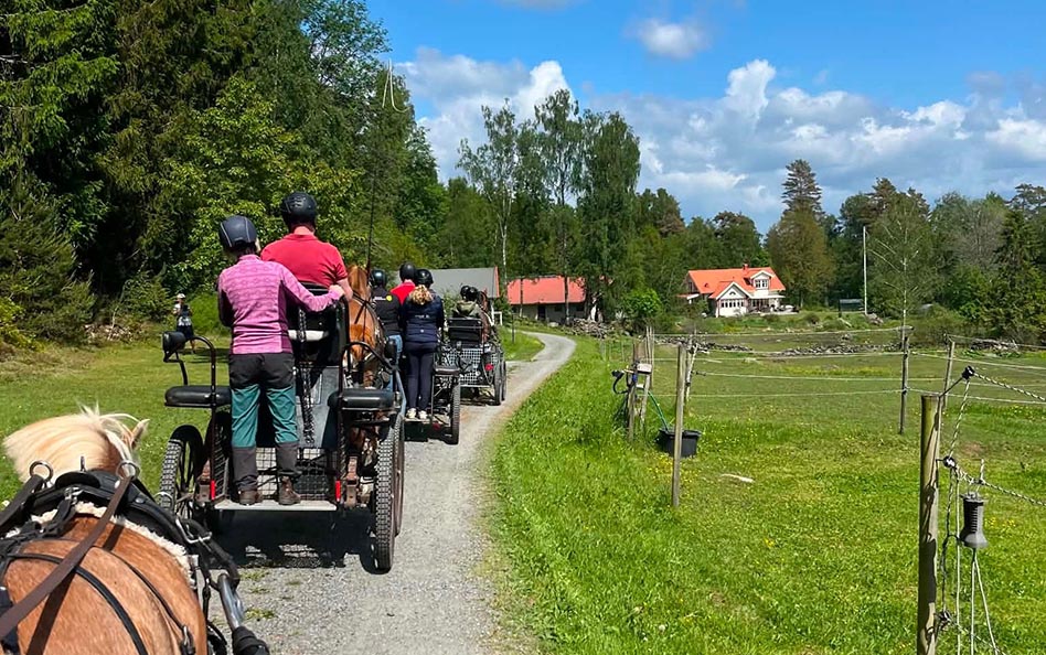 Körutflykt KSNH körsällskapet nordhallänningarna 2026 foto Malvina Bergstrand