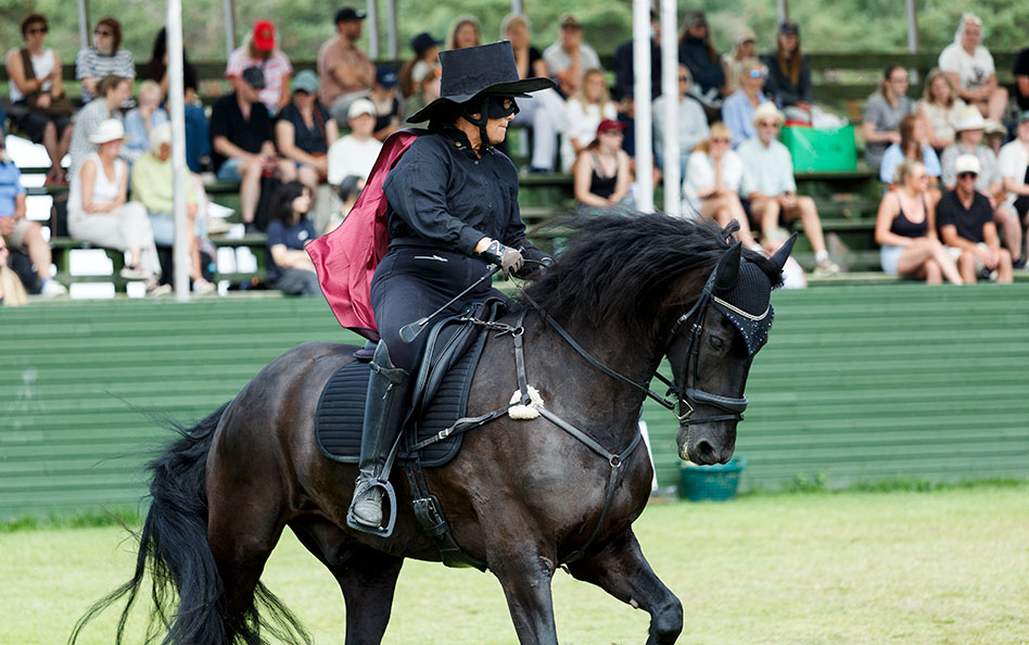 Frieser Falsterbo Zorro