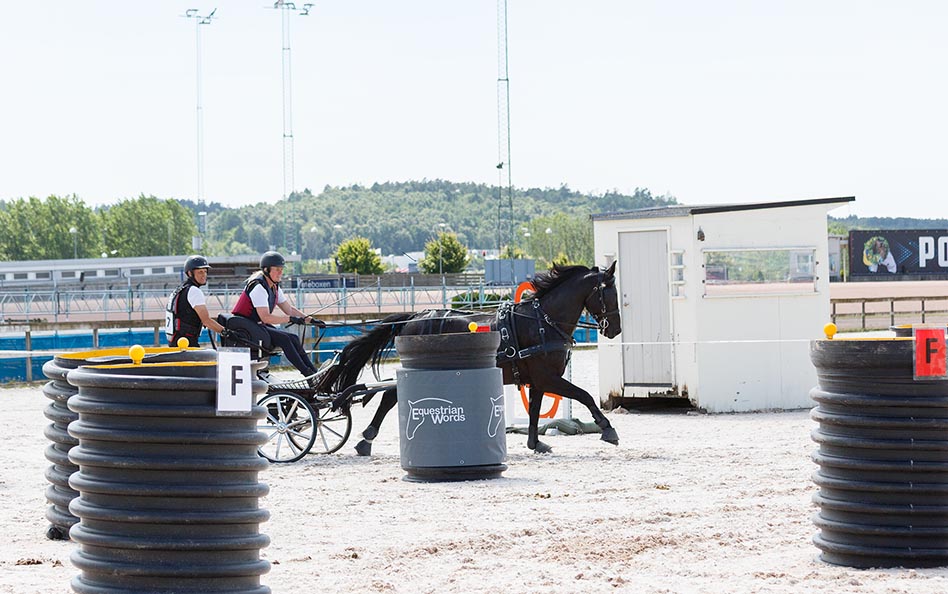 Rekordmånga starter på Åby