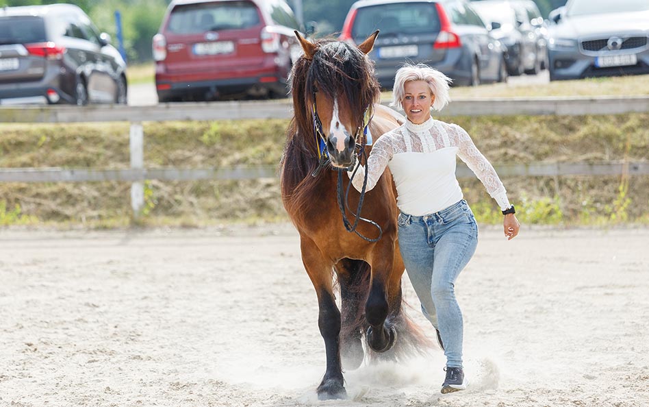 Sommarpremieringar – en tradition viktig för aveln