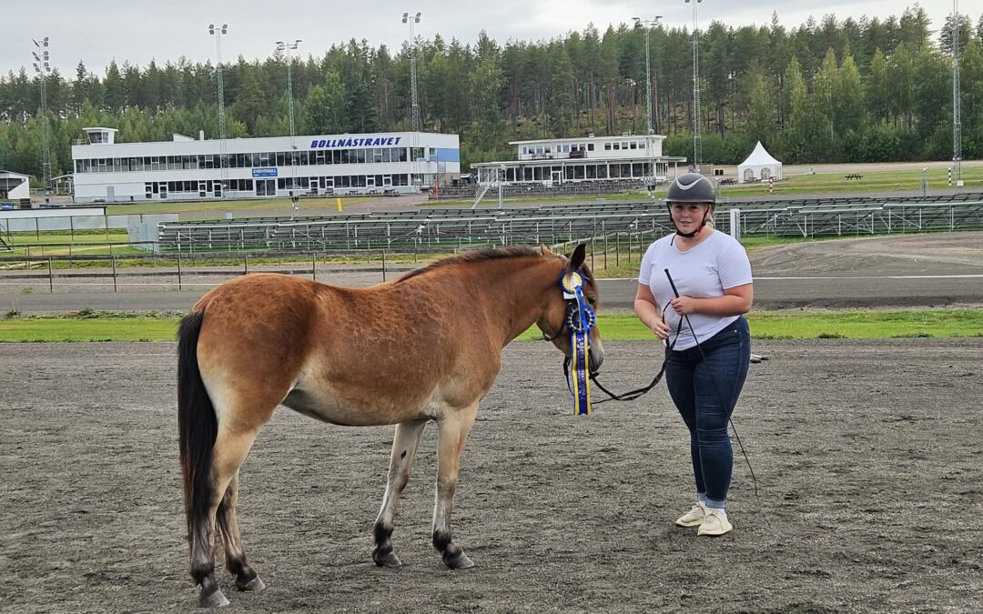 Mormors Sandy och Manfred i topp