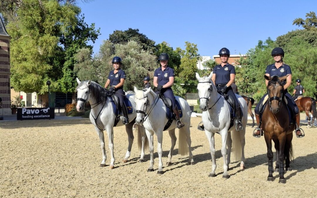 VM i working equitation och Sverige i topp på världsrankingen