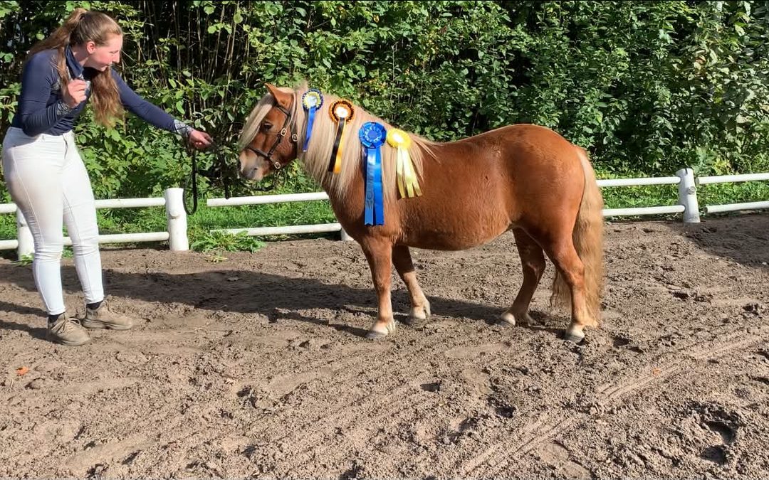 Årets fyra sista sommarpremieringar